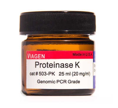 Proteinase K Solution 25ml 20mg Ml